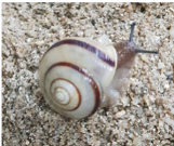 thumbimg
