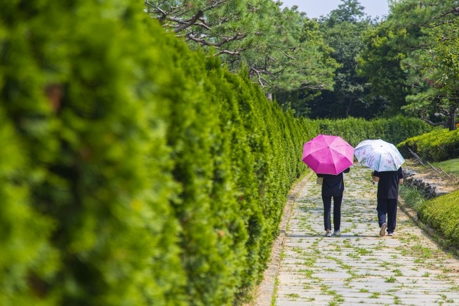 안성 서일농원 [경기관광공사 제공. 재판매 및 DB 금지]