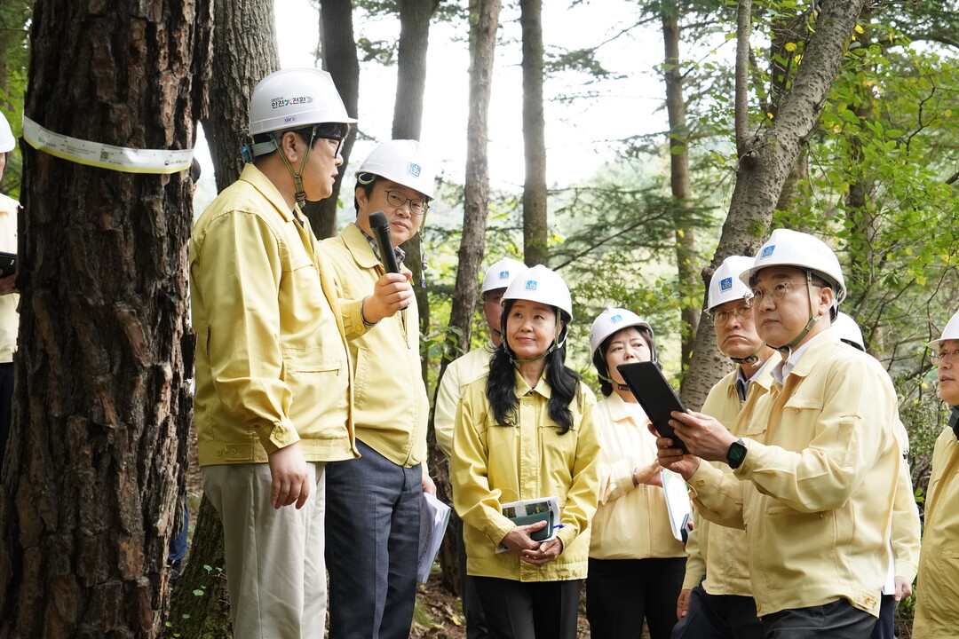김인호 산림청장, 경주 APEC 행사장 소나무재선충병 방제 점검