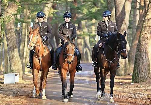 속리산 기마순찰대 [연합뉴스 자료사진]