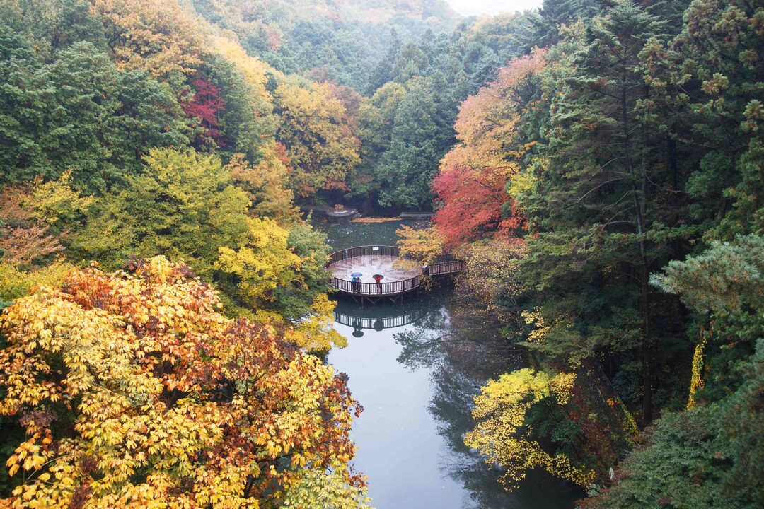 남녀노소 즐기요..산림청, 올해 모범 도시숲 6곳 선정