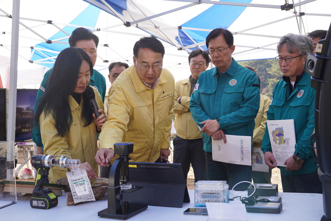 김인호 산림청장, 소나무재선충병 수종전환 방제 현장 점검