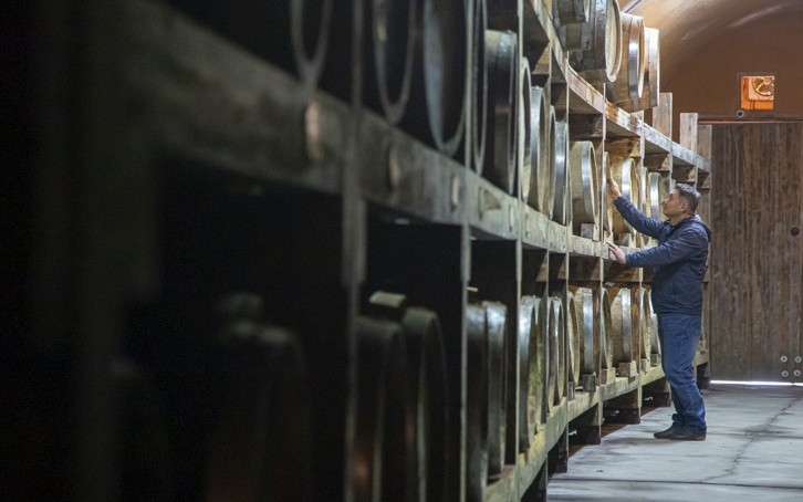 파주 산머루농원 [경기관광공사 제공. 재판매 및 DB 금지]