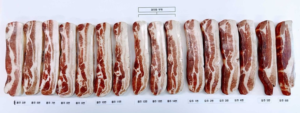 삼겹살로 유통되는 돼지 흉추 5번에서 요추 6번 부위. 이중 가운데가 과지방 부위. [농림축산식품부 제공. 재판매 및 DB 금지]