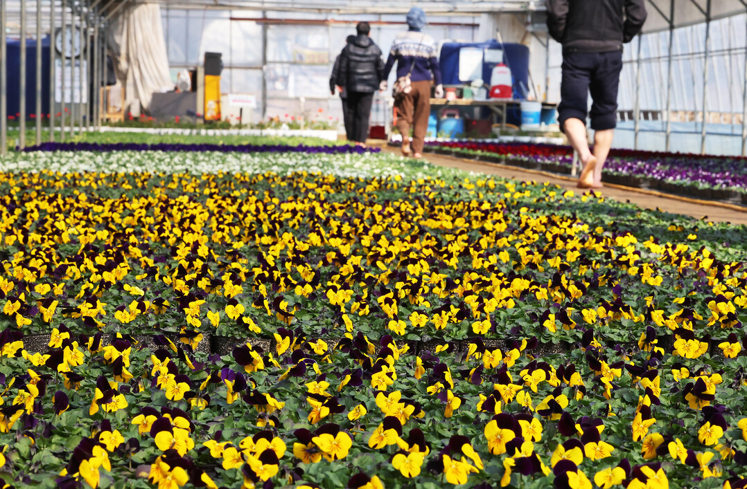 절기 '입춘' 낮 최고...