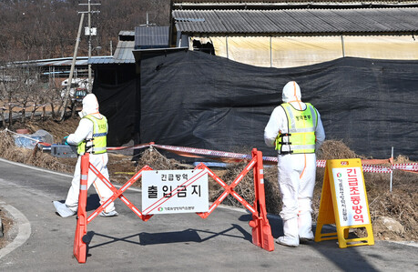 고양 한우농가서 구제역 발생…심각단계 경기 일부·서울까지 확대