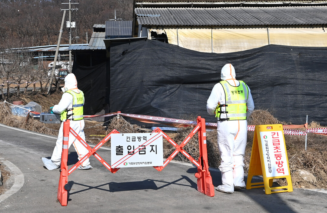 고양 한우농가서 구제역 발생…심각단계...