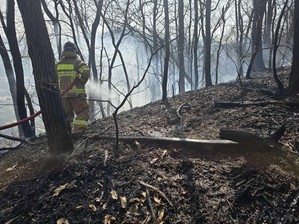 강원 홍천 산불·원주 주택 화재…모두 진화