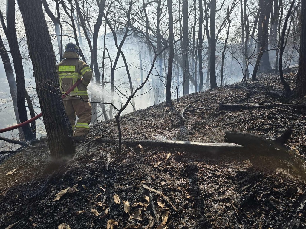 21일 오전 10시 50분께 원주시 지정면 보통리 한 주택에서 발생한 화재가 인접한 야산으로 옮겨붙어 소방대원이 진화작업을 벌이고 있다. [강원특별자치도소방본부 제공. 재판매 및 DB 금지]