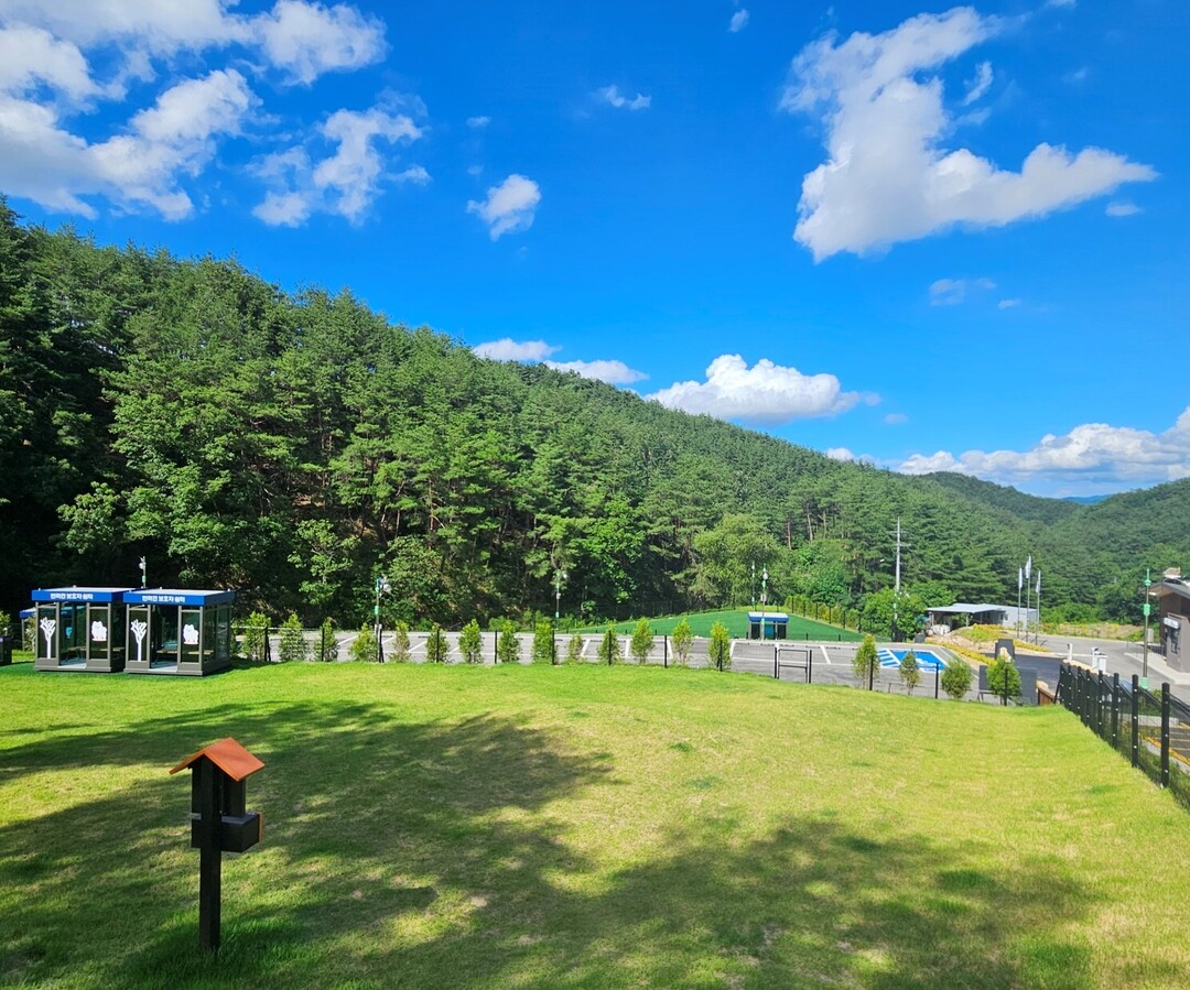 반려견 동반 전용 