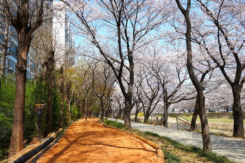 "따스한 봄 그리고 맨발길&...