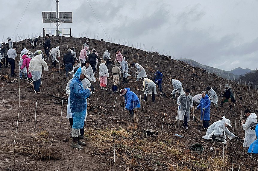 산불 피해지서 나무 심는 사람들 (안동=연합뉴스) 4일 오전 경북 안동시 풍천면 어담리 야산에서 자원봉사자들이 
