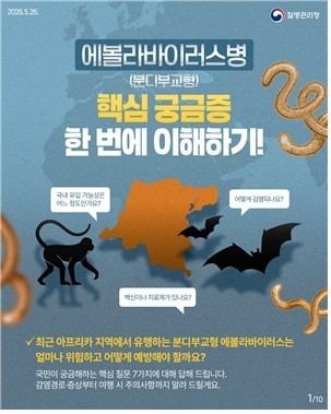 질병청·외교부 등 15개 부처, 에볼...