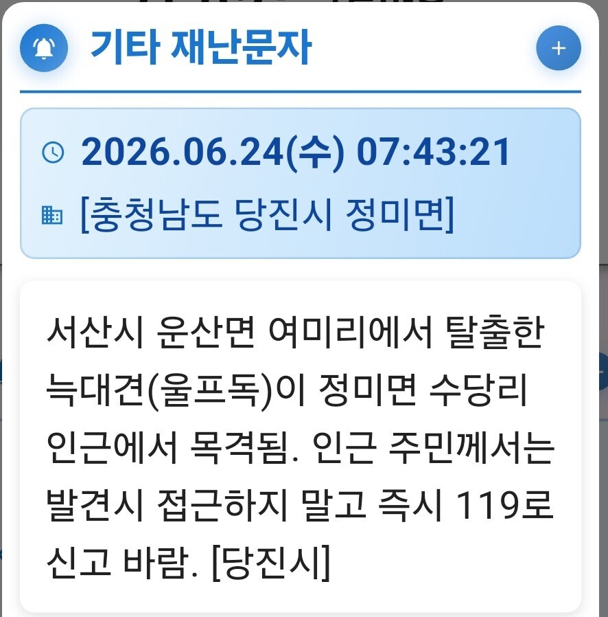 서산 탈출 늑대개, 당진까지?…당진시...